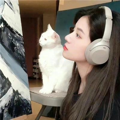 为黛茜小姐开车